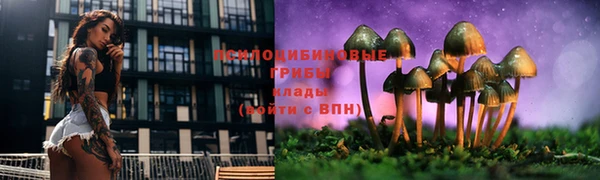 скорость mdpv Бронницы