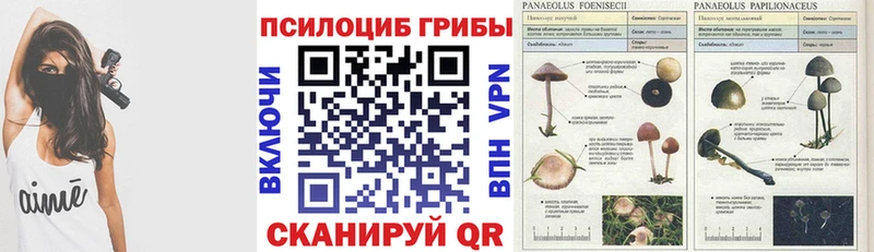 Галлюциногенные грибы мухоморы  Дивногорск 
